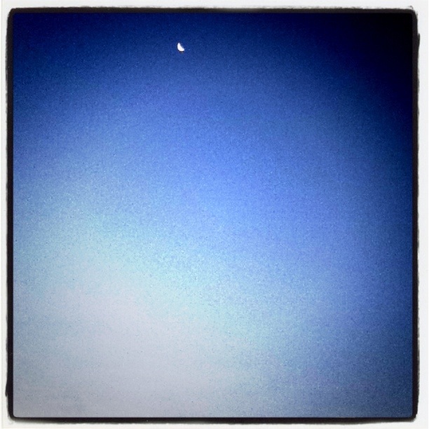 1201 morning moon